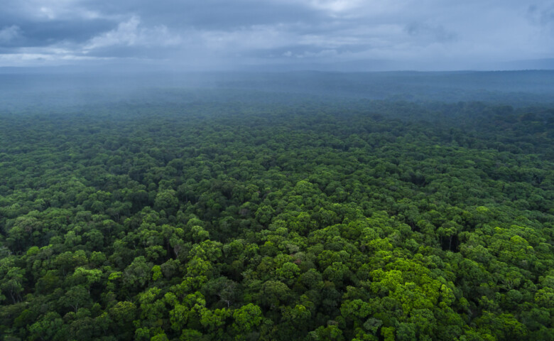 Aerial shot of Amazonian rainforest in the Potaro-Siparuni region, Essequibo territory, Guyana. The Essequibo region is the subject of a dispute between Guyana and Venezuela.